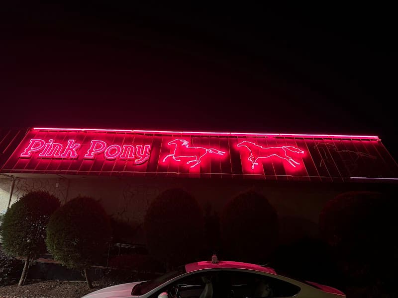 Pink Pony photo 2