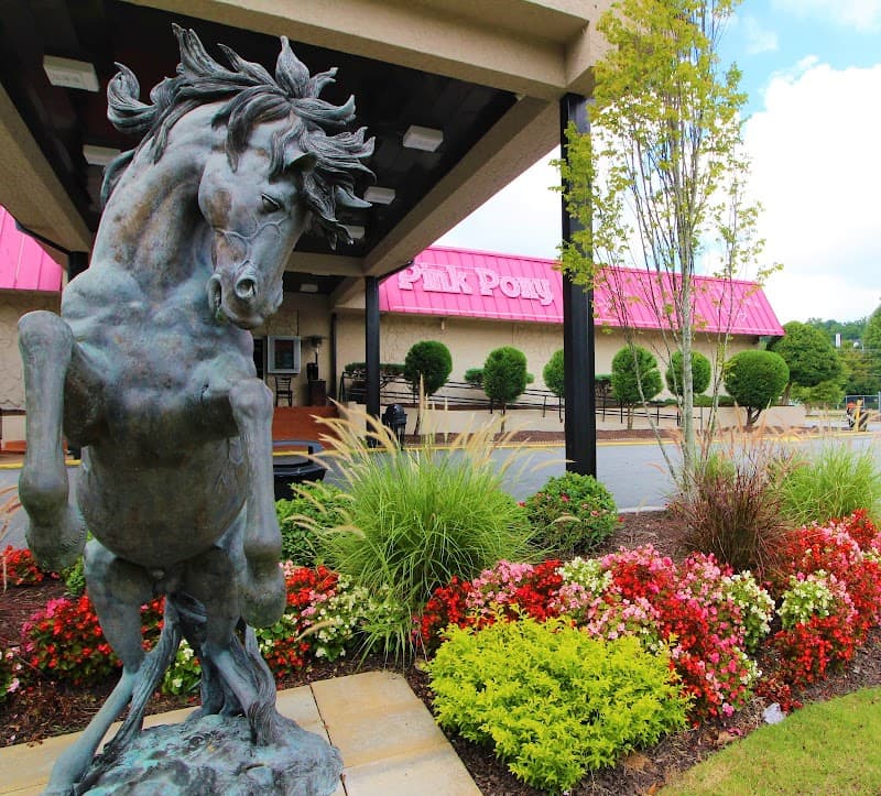 Pink Pony photo 4