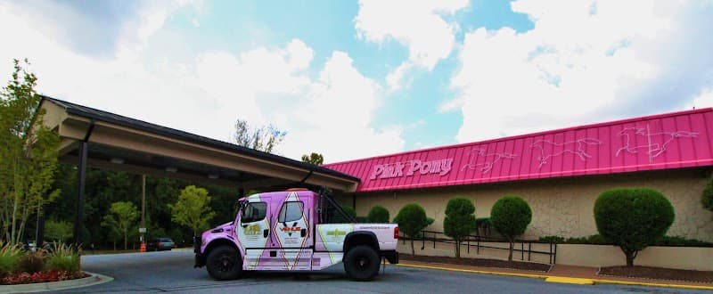 Pink Pony photo 3