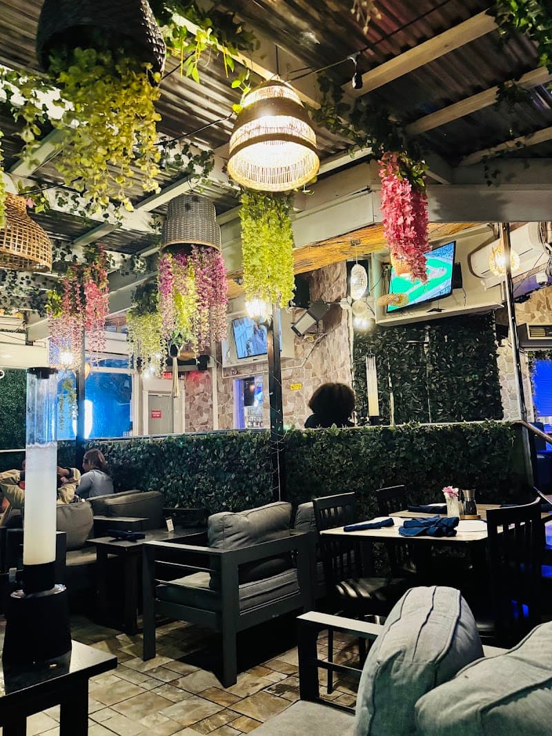Octopus Kitchen & Hookah photo 3