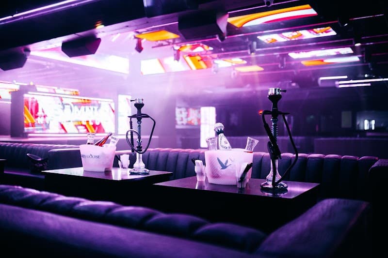 Insomnia Nightclub photo 3