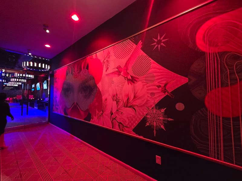 Insomnia Nightclub photo 4